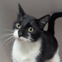 Photo of Polly