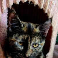 Photo of Hallow