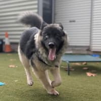 Photo of Tia