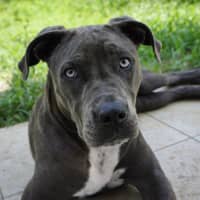 Photo of Lulu