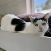 Photo of Molly And Mandy