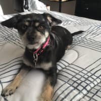 Photo of Jedda O'cleary