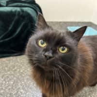 Photo of Coco And Ruby