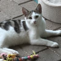 Photo of Lizzie 
