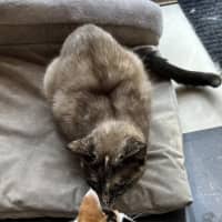 Photo of Paige   Located In Lower Plenty