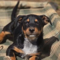 Photo of Lenny