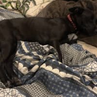Photo of Mia
