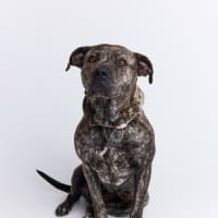Photo of Milly