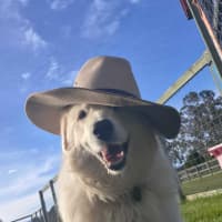 Photo of Teddy