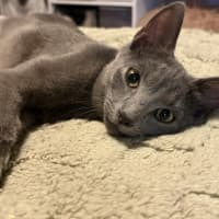 Photo of Ziggy