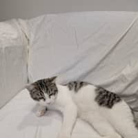 Photo of Ernie