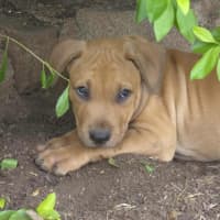 Photo of Steve