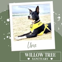 Photo of Una