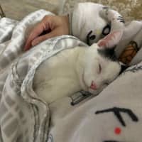 Photo of Lillie 🌷🌷🌷