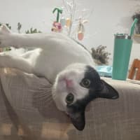 Photo of Oopsies