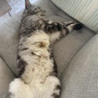 Photo of Missy
