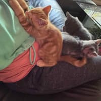 Photo of Charlie   Located In Preston