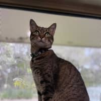 Photo of Sammii