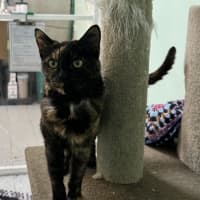 Photo of Minnie