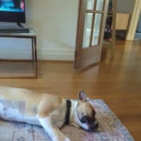 Photo of Rosemary Kumara