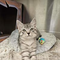 Photo of Charlie