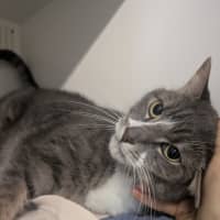 Photo of Sparkle