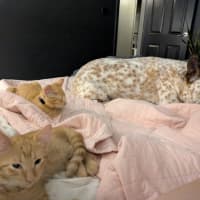 Photo of Fred & George (Aka Quentin & Quigley)