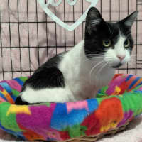 Photo of Mitzi