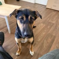 Photo of Ellie 