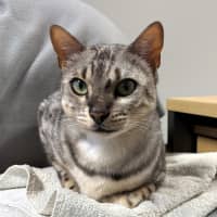 Photo of Jagerbomb Rsua013856