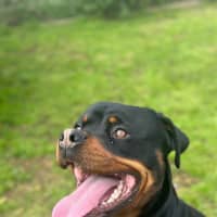 Photo of Max