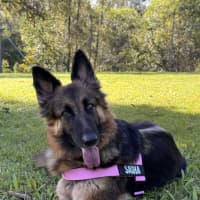 Photo of Sasha