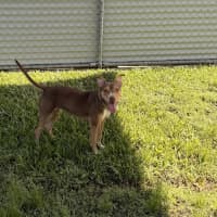 Photo of Coco