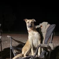 Photo of Xena