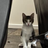 Photo of Sparky