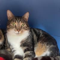 Photo of Apollo And Odette