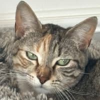 Photo of Anna