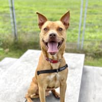 Photo of Jasper