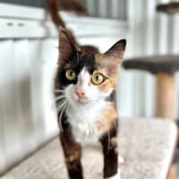 Photo of Penelope