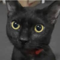 Photo of Georgie (C Mum 3)