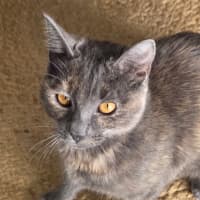 Photo of Lilly