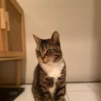 Photo of Chester   Located In Richmond