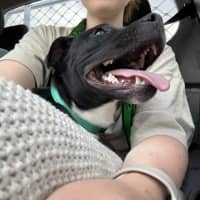 Photo of George Costanza