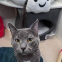 Photo of Sweetie Boy