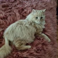 Photo of Wesley