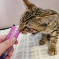 Photo of Andy   On Display @ Vets On Parker