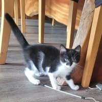 Photo of 💕 Atlas 💕