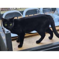 Photo of 11978   Emmy