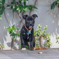 Photo of Emmie
