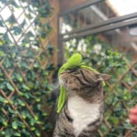 Photo of Sutton   Best Buds With Kevin   Check His Profile